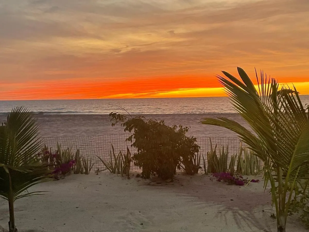 Villa Nº25B Alfredo Marchetti Suites On The Beach Praia Di Chaves Rabil