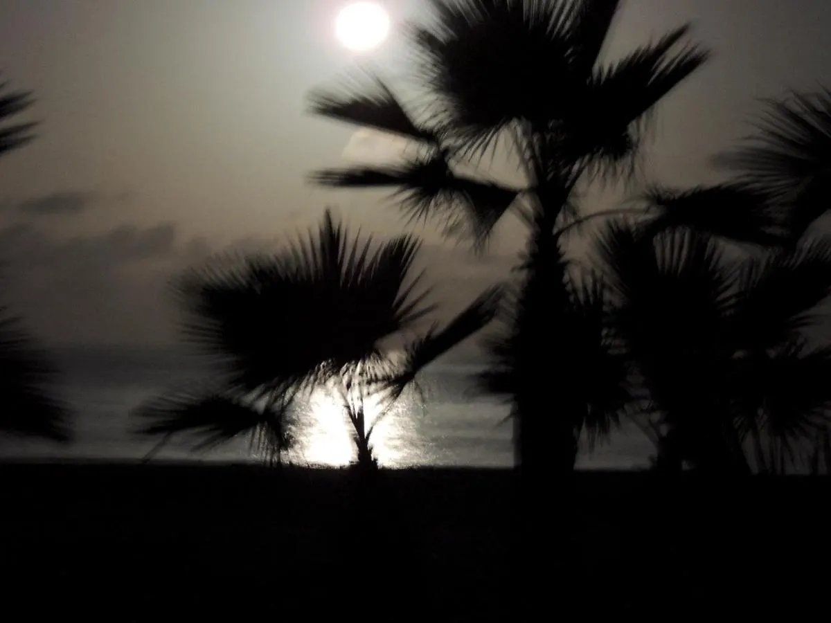 Apartment Villa Nº25B Alfredo Marchetti Suites On The Beach Praia Di Chaves Rabil